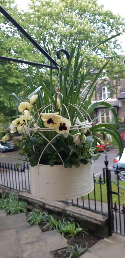 The Coppice Harrogate Exterior foto